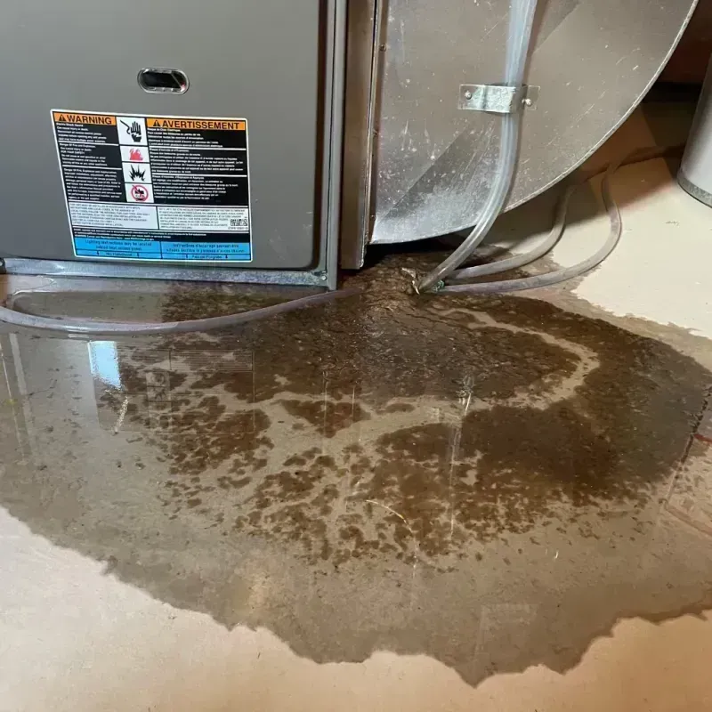 Appliance Leak Cleanup in Mahnomen, MN